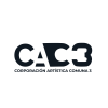 corporacion artistica comuna 3
