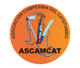 ASOCIACION CAMPESINA DEL CATATUMBO -ASCAMCAT