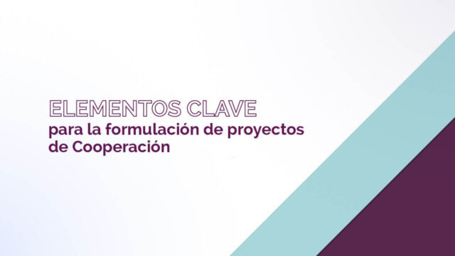 Elementos clave para la formulación de proyectos